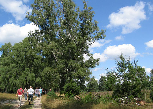 Am Lönsstein