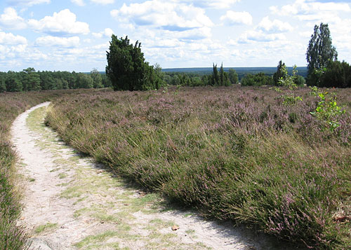 Wietzer Berg